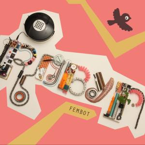 Album cover for Fembot album cover