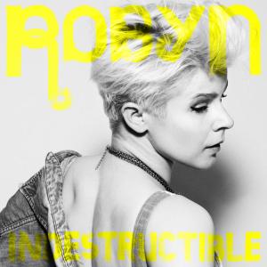 Album cover for Indestructible album cover