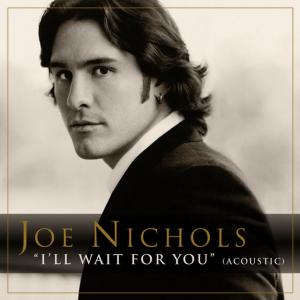 Album cover for I'll Wait for You album cover