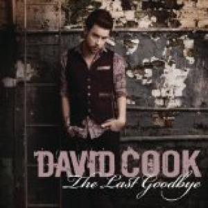 Album cover for The Last Goodbye album cover