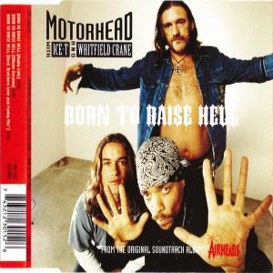 Album cover for Born to Raise Hell album cover