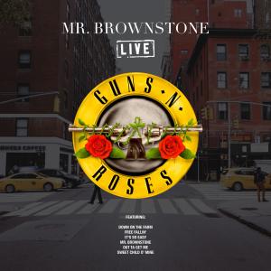 Album cover for Mr Brownstone album cover