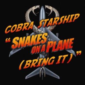 Album cover for Snakes on a Plane (Bring It) album cover