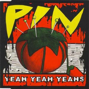 Album cover for Pin album cover