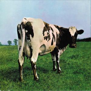 Album cover for Atom Heart Mother album cover