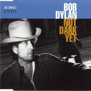 Album cover for Not Dark Yet album cover