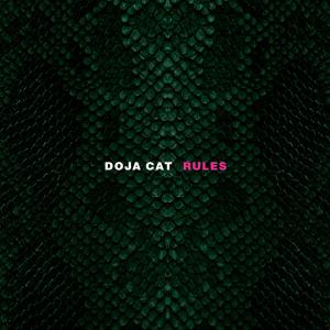 Album cover for Rules album cover