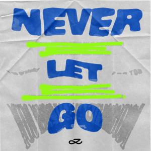Album cover for Never Let Go album cover