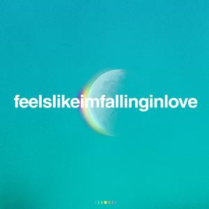 Album cover for feelslikeimfallinginlove album cover