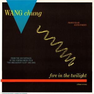 Album cover for Fire in the Twilight album cover